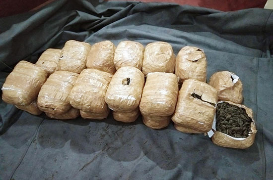 Two (02) suspects with over 54kg of Kerala cannabis apprehended