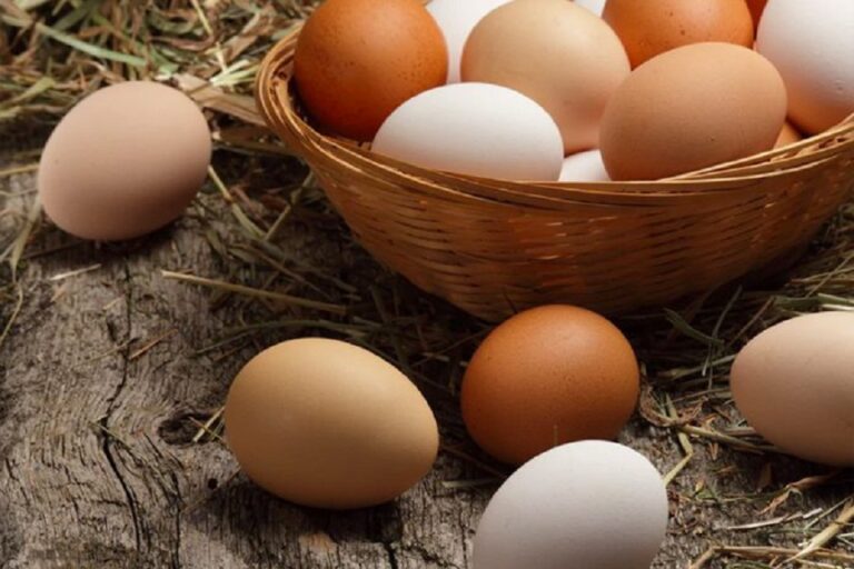 Government calls for tenders to import eggs to tackle steep price rice