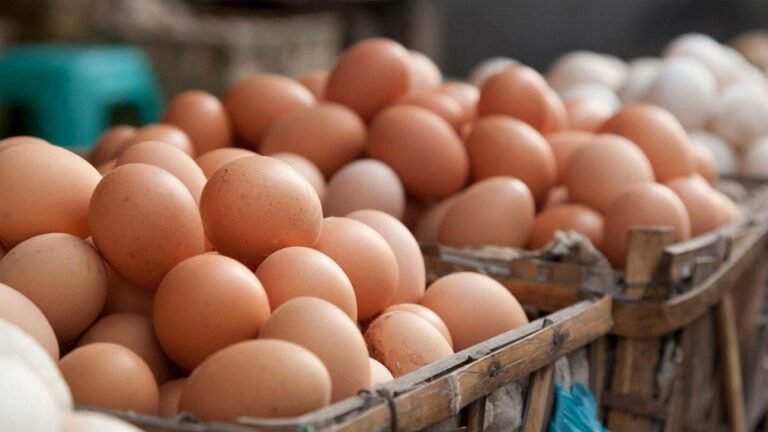 Sri Lanka to import eggs to meet market local demand