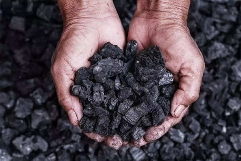 Substandard Coal Imports Trigger Power Losses, Parliamentary Scrutiny