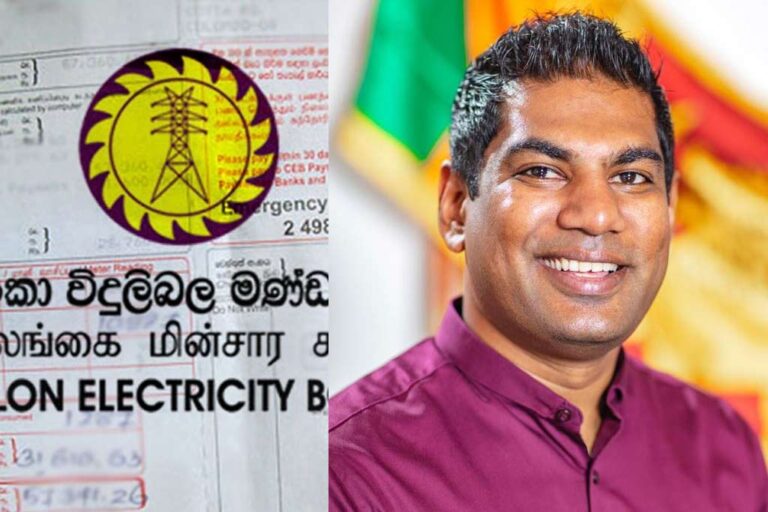 Electricity Sector Reforms Bill to be enacted soon for CEB privatization
