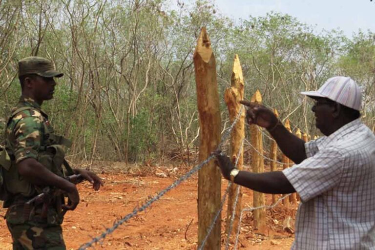 100 acres of land to be given back to Tamil people of North