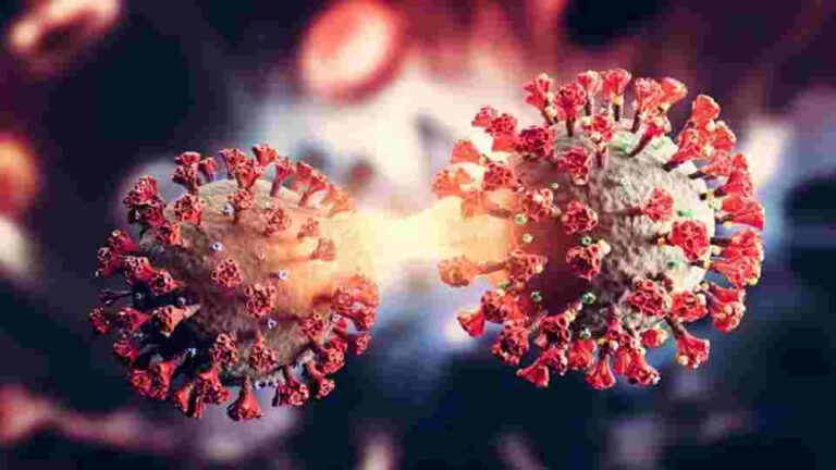 Public Health Inspectors’ Union Warns of Potential Health Crisis as Covid-19 Testing Lags