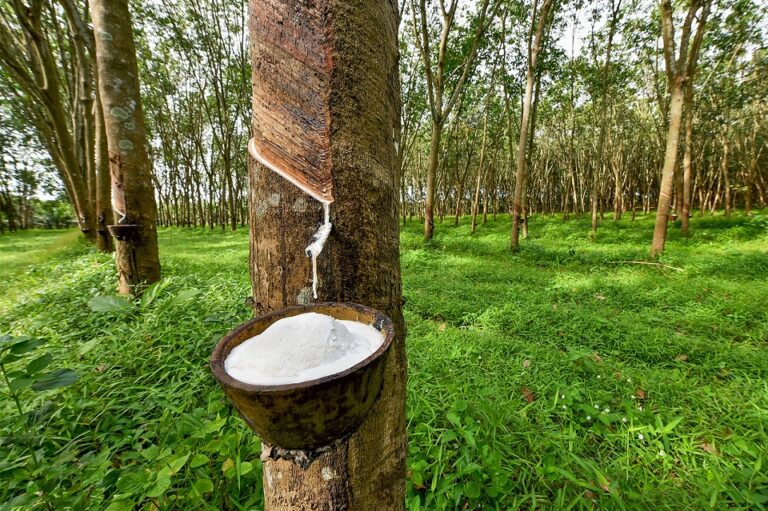SL Rubber Product industry gets a boost from French aided RIVER project