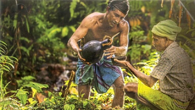 Govt assists the local toddy industry to explore the export market