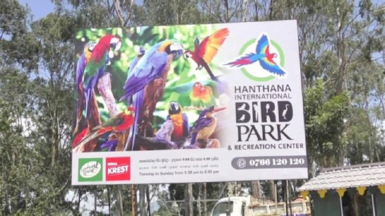 President opens first migratory bird park stepping into avitourism