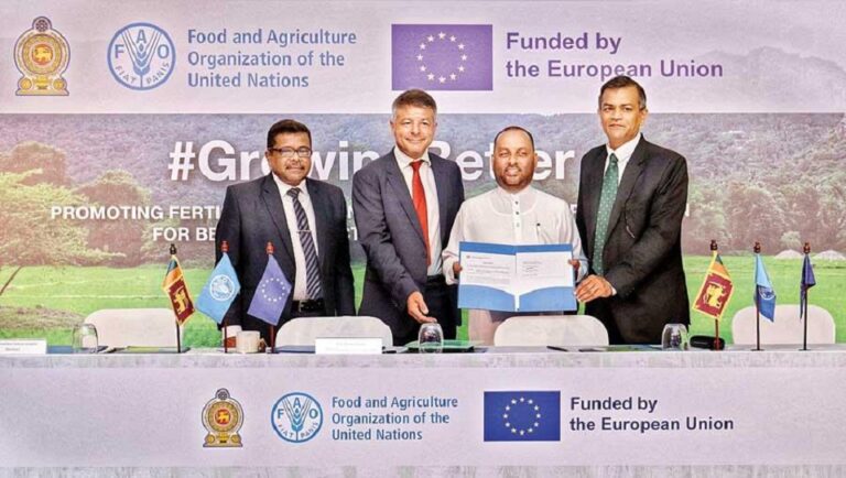 FAO gives new lease of life to most vulnerable paddy farmers in Sri Lanka