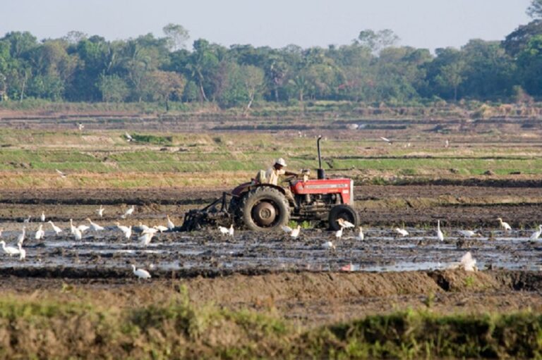 SL agriculture modernization gets underway with Agri-fin-tech start up