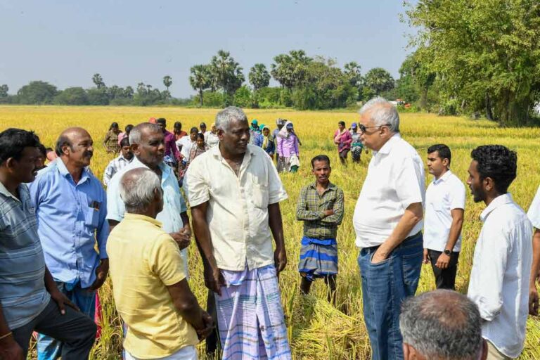 President instructs officials to purchase a kilo of paddy at a guaranteed price of Rs.100