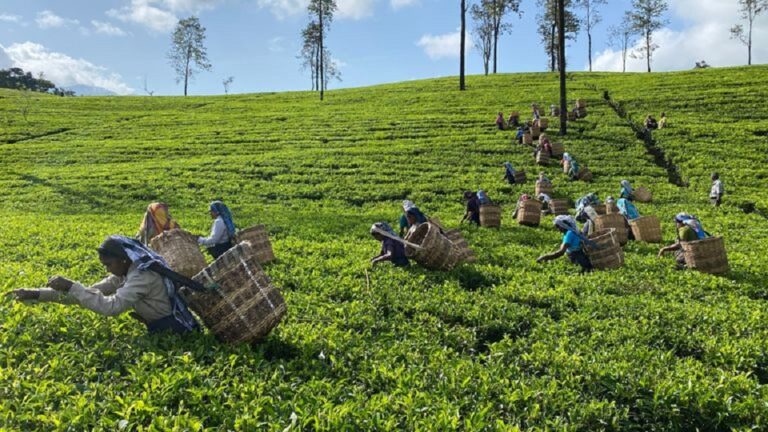 Govt to take stern action against RPCs failing to pay wage hike for workers