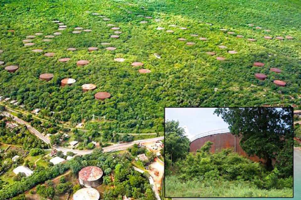 Govt revives the oil tank farm harnessing allout economic