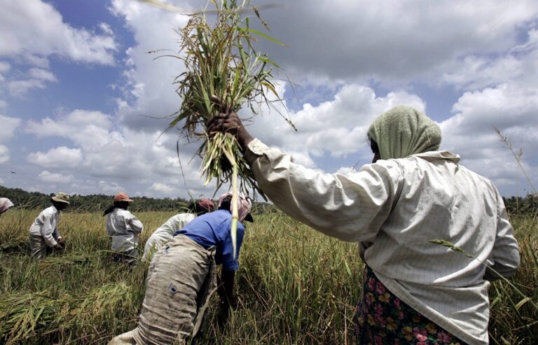 SL Food crisis to worsen amid poor agri production, price spikes and economic crisis