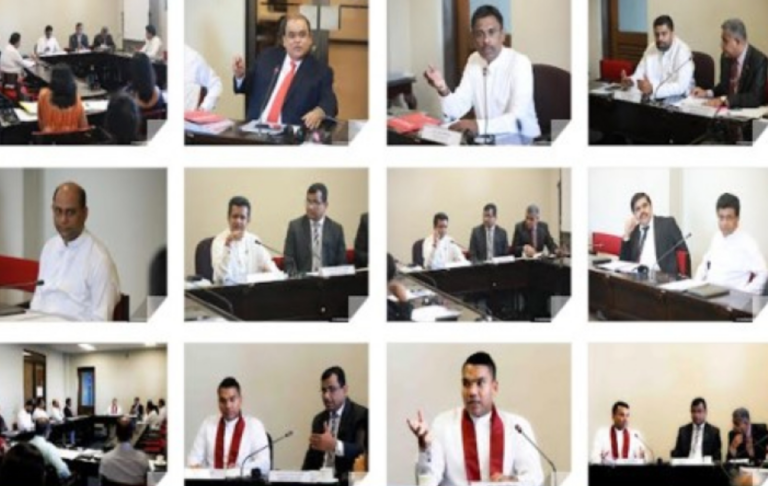 Four new chairs appointed for Sectoral Oversight Committees￼
