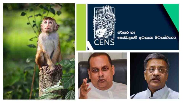 CENS writes to Indian HC regarding GOSL’s decision to sell Toque macaques to China