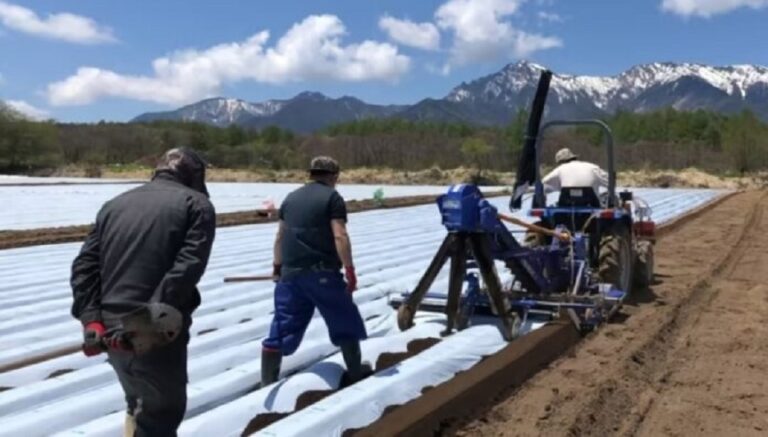 Japan opens farming jobs for SriLankans under “specified skilled worker” visas