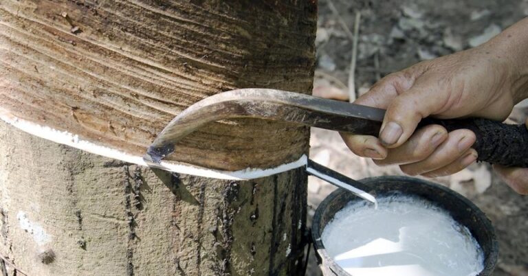 Rubber exports down amidst the economic troubles in the EU and the West