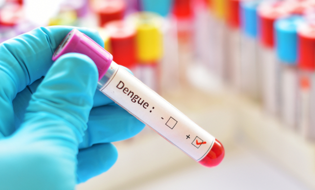 Prices of laboratory blood tests for dengue soar