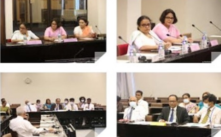 Parliamentary Caucus Reviews Measures for Safeguarding National Heritage