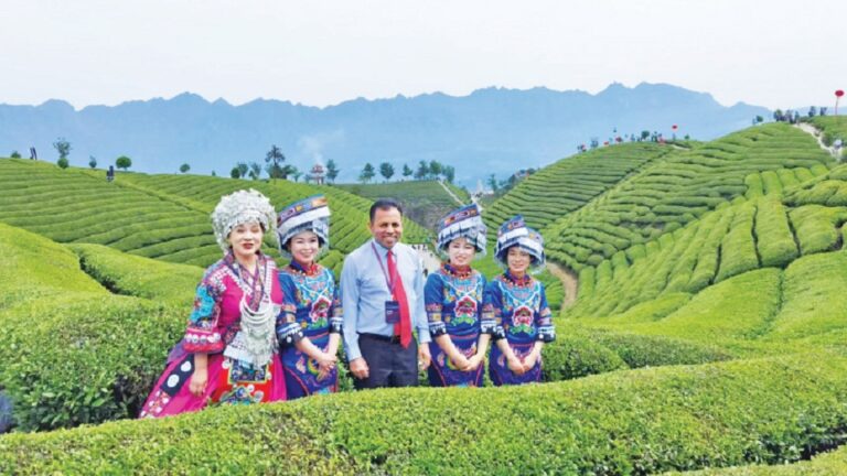 Sri Lanka’s Tea Industry to enter lucrative Chinese market soon