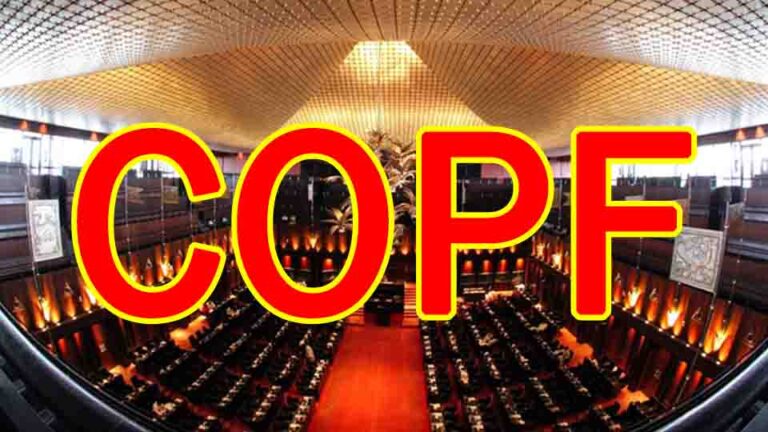 COPF Directs VAT Guidelines for Local Software Companies