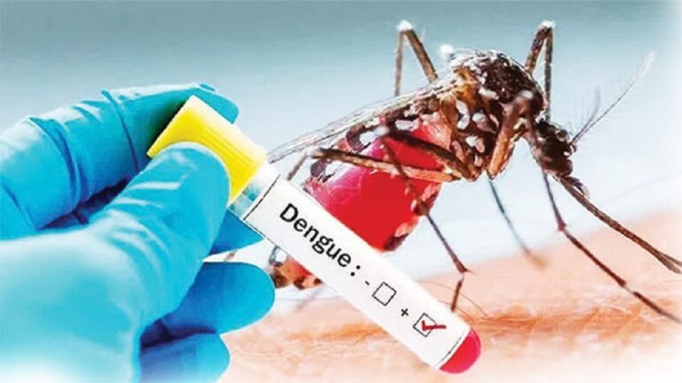 Rise of Dengue cases on trend amidst weather