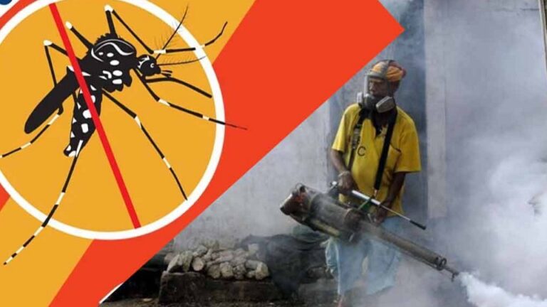 Govt intensifies dengue mitigation efforts in Colombo