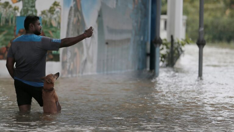 Over 6,000 people affected by adverse weather conditions: DMC