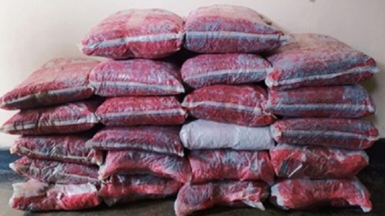 Navy recovers over 85kg of Kerala cannabis in Jaffna