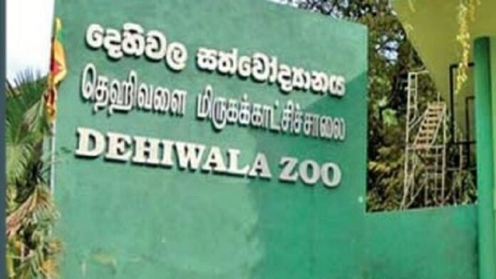dehiwala zoo