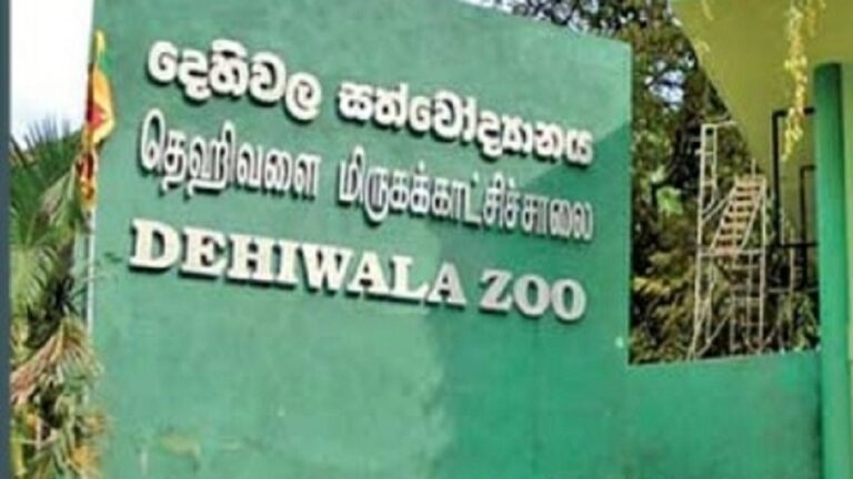 Children under age 12 given a chance to visit zoo for free