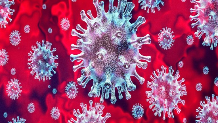 Sri Lankans work of new virus with cold-like symptoms spreading in US