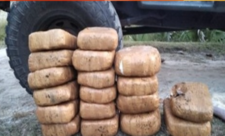 Navy nets Kerala Cannabis stash valued at over Rs. 11 Mn in Jaffna