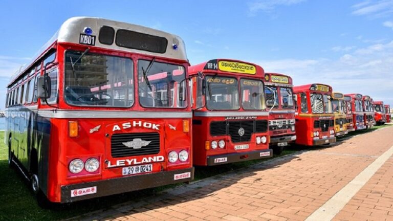 Special Bus and Train Services for New Year Travelers