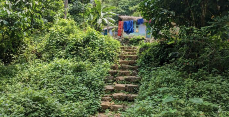 Why are Tamil expatriates from Sri Lanka struggling for survival deep in the Gavi forest of Kerala?