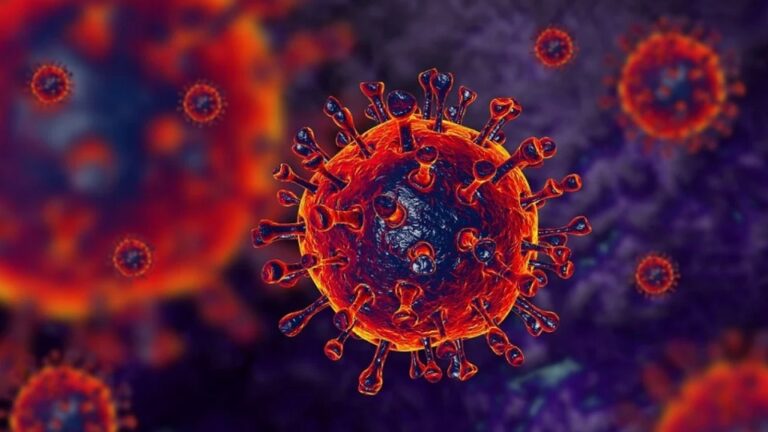 Health Ministry assesses minimal risk from JN-1 sub-variant of Covid-19