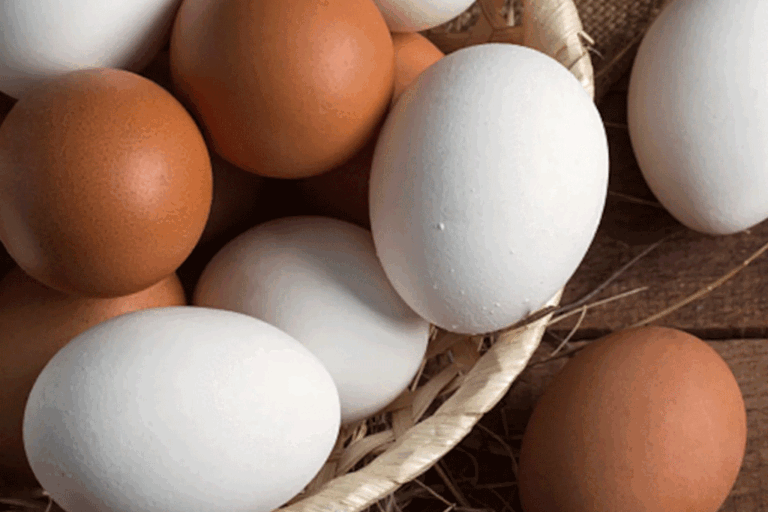 SL places order for another 15 million eggs from India
