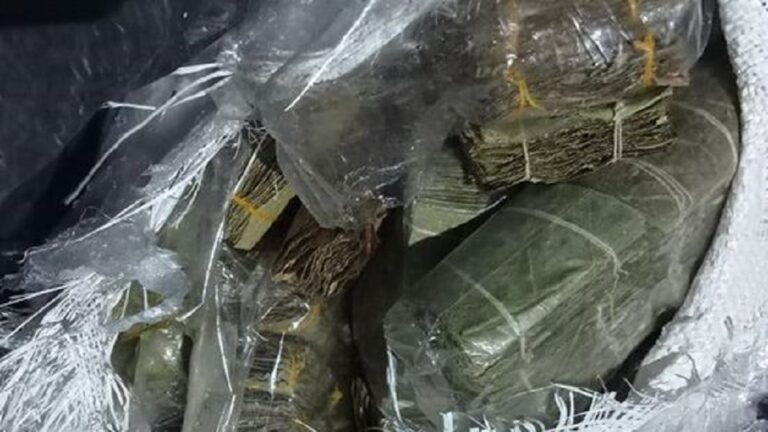 Navy apprehends seizes over 850kg of smuggled Kendu leaves: Suspects arrested