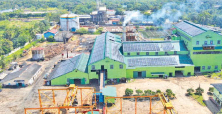 Galoya Plantations Invests Rs. 12 Billion to Boost Sugar Production and Power Grid