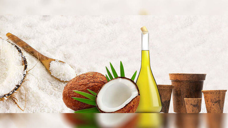 Sri Lanka targets US $ 2 b from coconut-related product exports