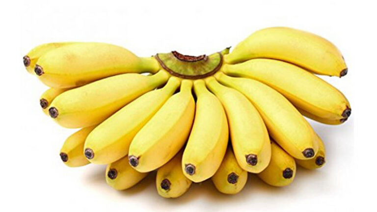 Sour banana cultivation expands in Hambantota for export market