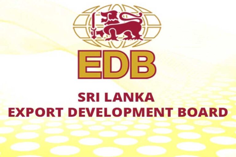 SL software industry  becomes a significant player in the global market