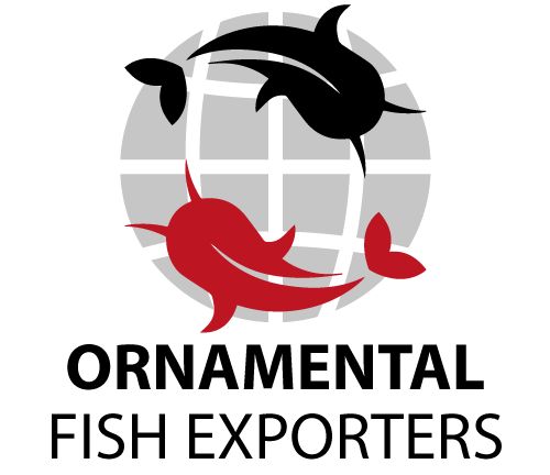 Ornamental fish exporters demand reforms in present freight rates.