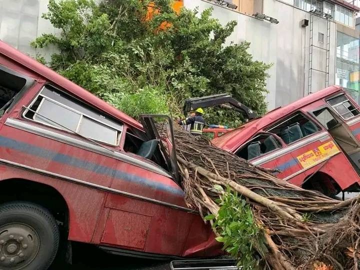 SLTB instructs to remove trees near depots and bus stops