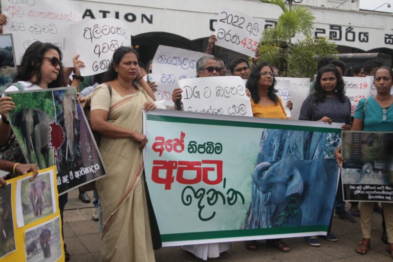 Protesters demand justice for elephants