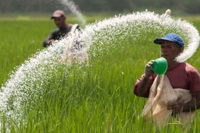 Fertiliser price control to be considered?