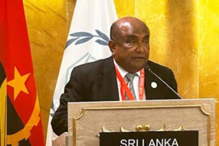Developing nations, including Sri Lanka, struggle with sustainable goals: Speaker