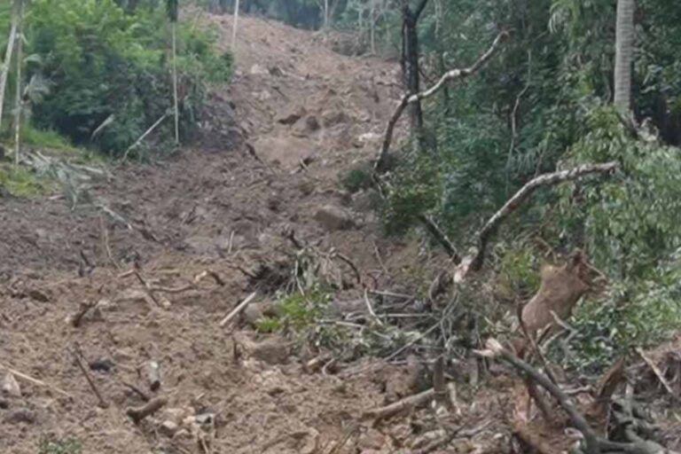 Family of four missing in Balangoda landslide found dead