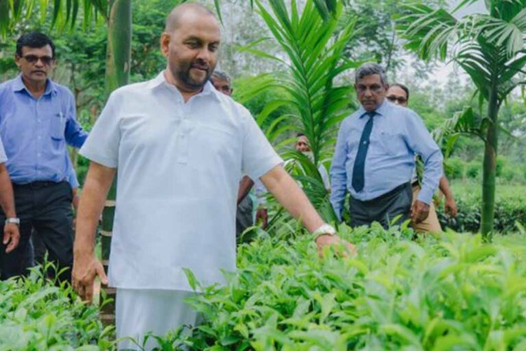Minister urges promotion of high-density tea cultivation for increased yield
