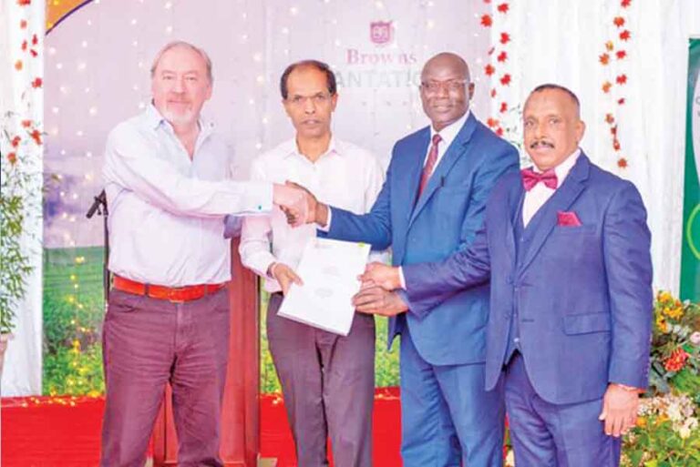 SL Browns Investments enters tea estate business in Kenya