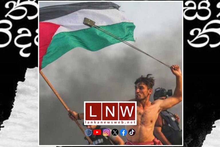Freedom for Palestine! (Live discussion on Nov 18)